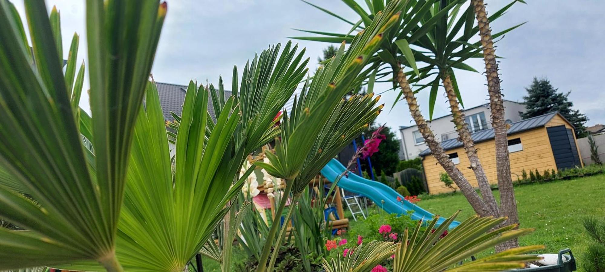 Pokoje Goscinne Jutrzenka Swarzewo Buitenkant foto